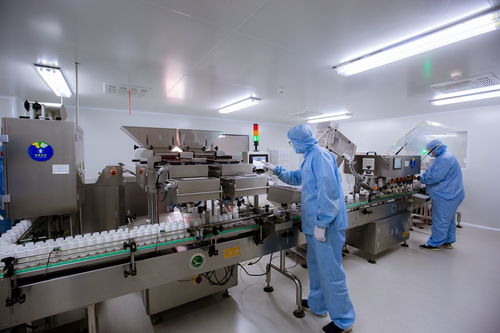 底氣從何而來 記者走進國和堂 透明工廠 探源食品安全