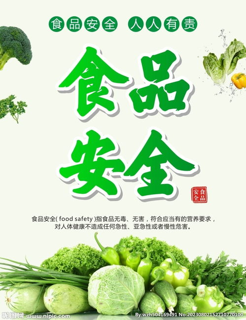 食品安全設(shè)計(jì)圖